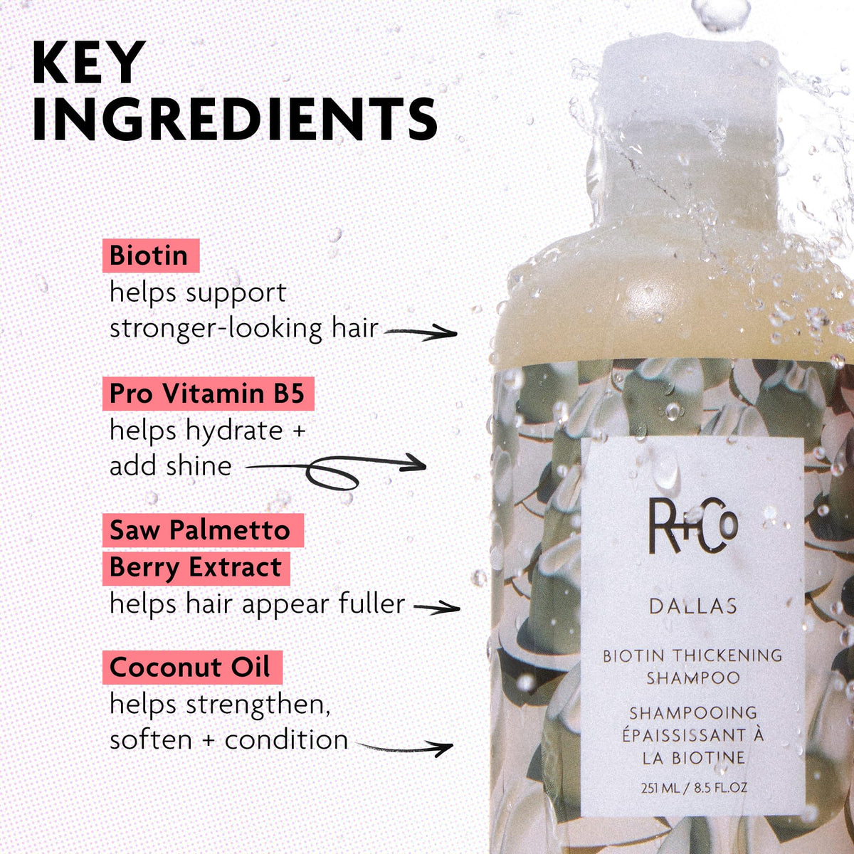 R+Co Dallas Thickening Shampoo 290g with coconut oil