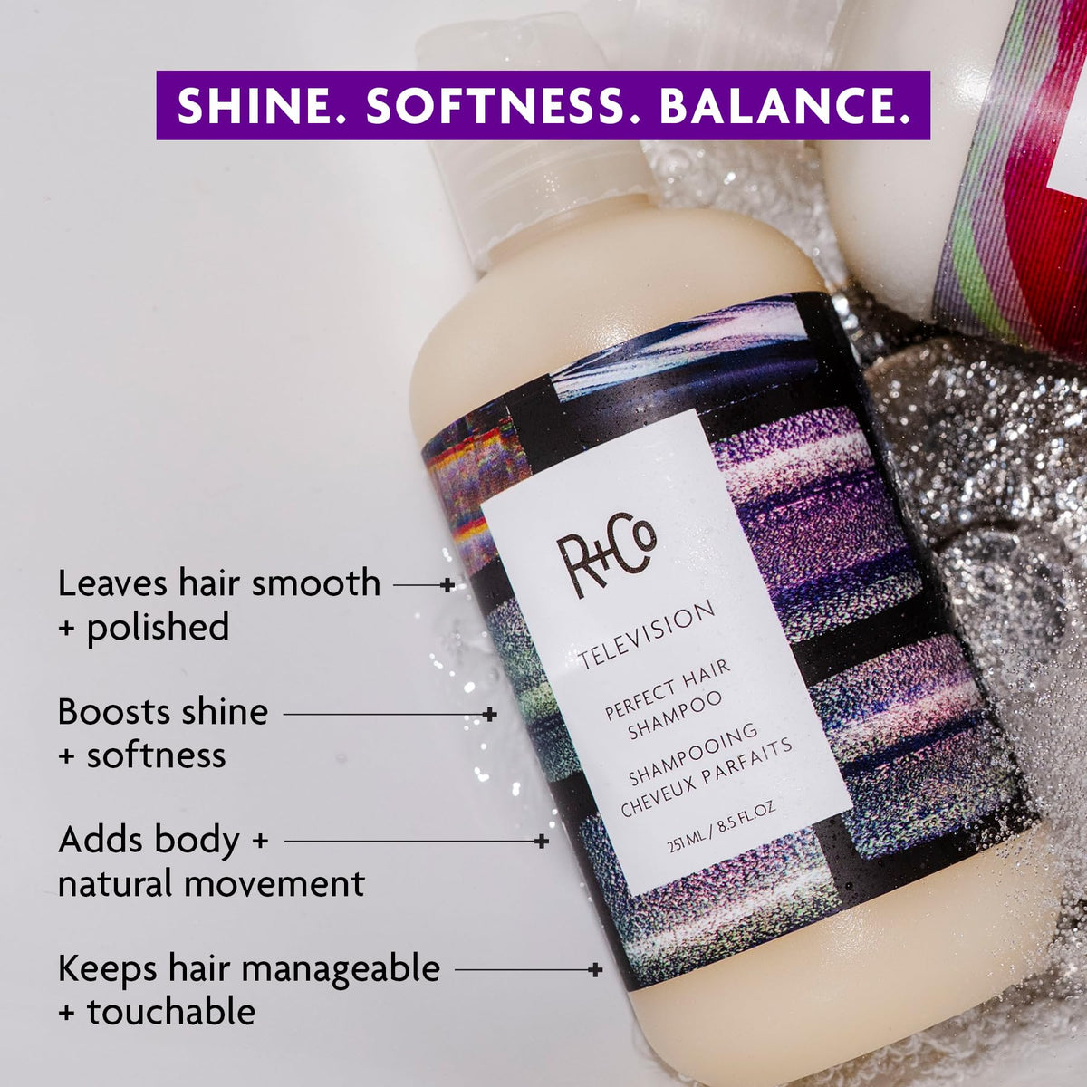 R+Co Television Perfect Hair Shampoo back view with ingredient list