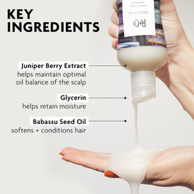 R+Co Television Perfect Hair Shampoo with a background of hair styling tools