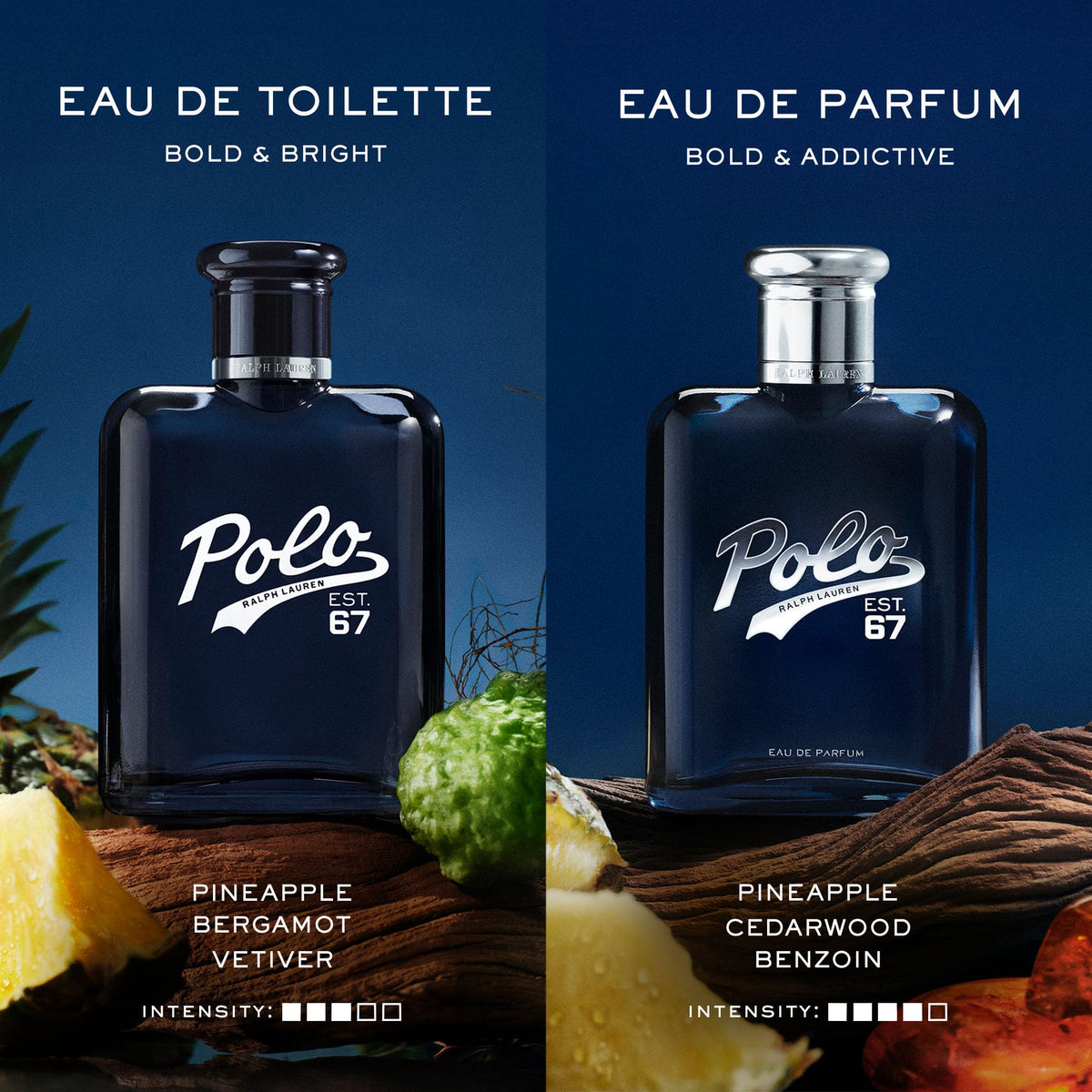 RALPH LAUREN Polo 67 Eau de Toilette bottle back view