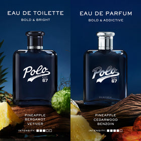 RALPH LAUREN Polo 67 Eau de Toilette bottle back view