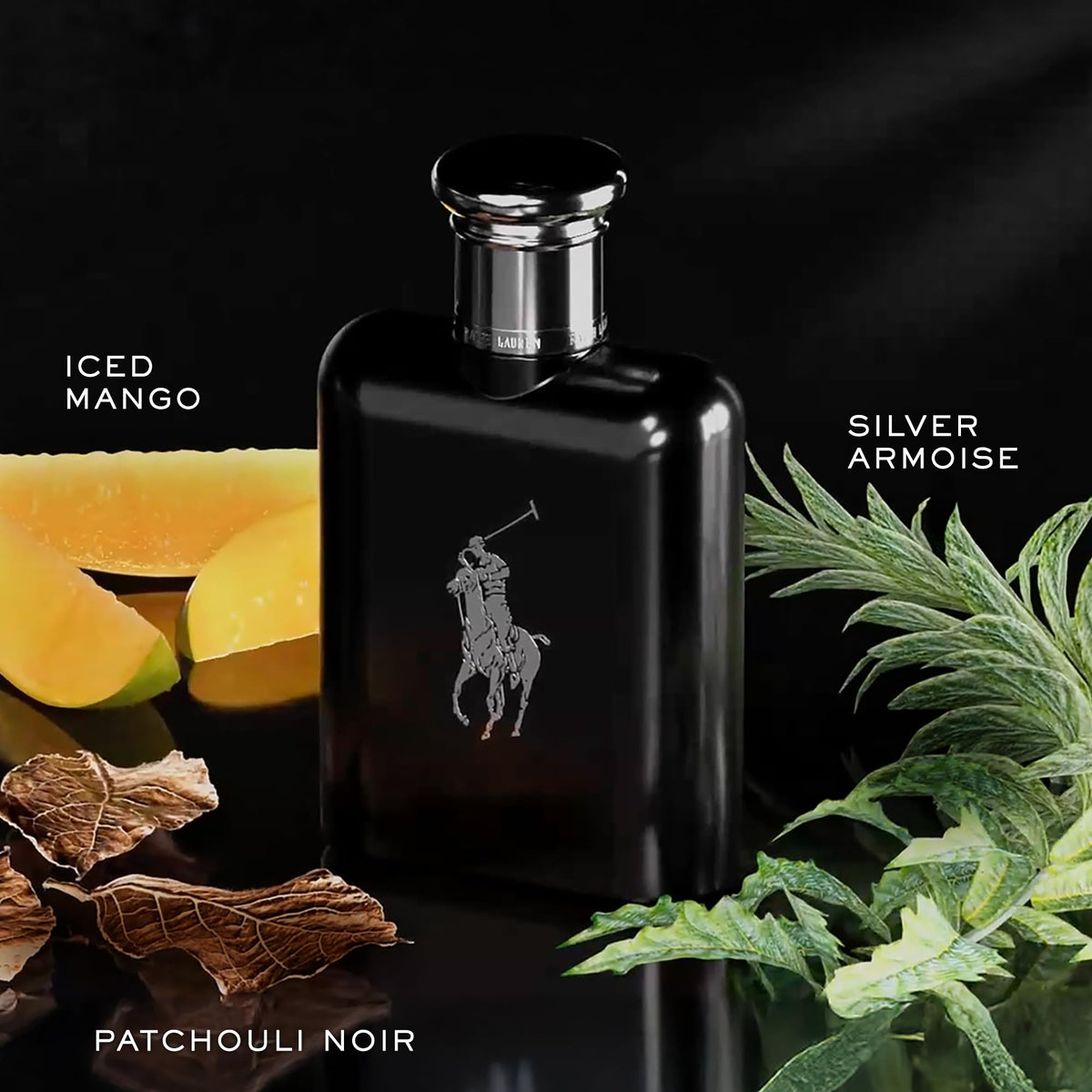 RALPH LAUREN Polo Black Eau de Toilette bottle side view