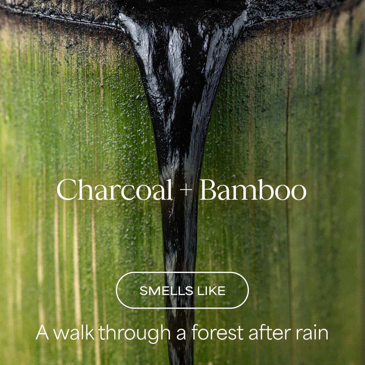 RAW SUGAR Charcoal Bamboo Reset Body Wash back view with ingredients