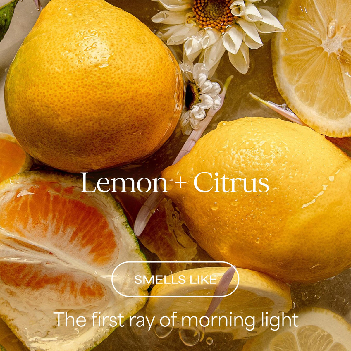 RAW SUGAR Lemon Citrus Energizer Body Wash packaging