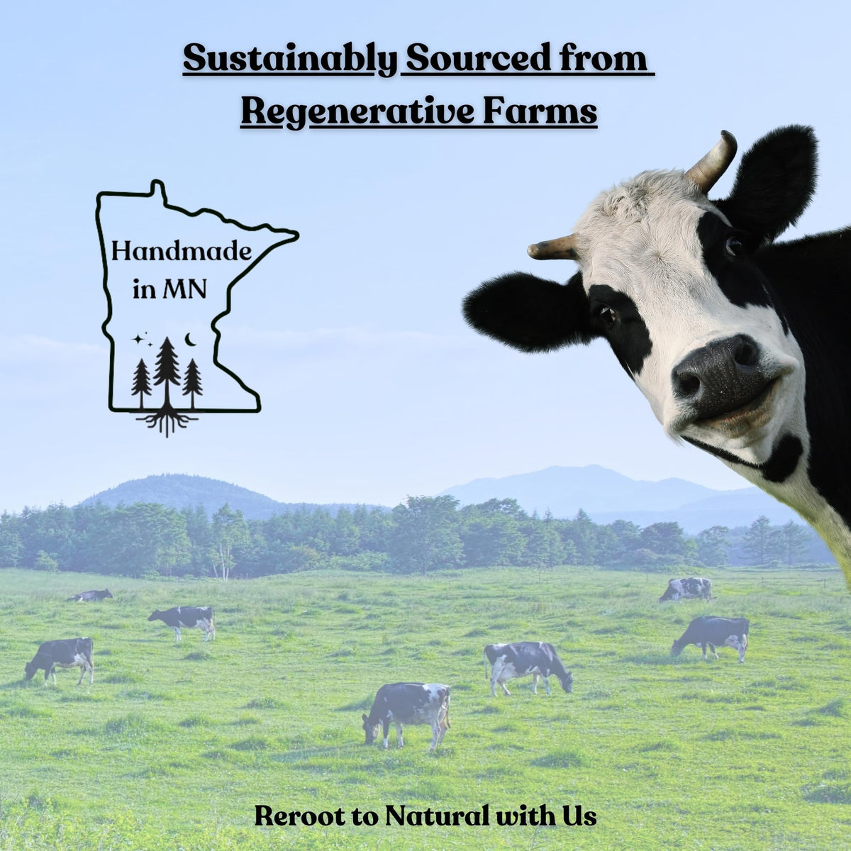 Reroot Organics Beef Tallow Balm in hand for application