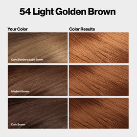 REVLON ColorSilk 54 Light Golden Brown hair color side view