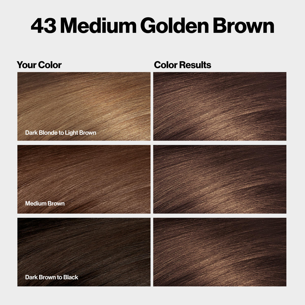 REVLON ColorSilk hair color application instructions