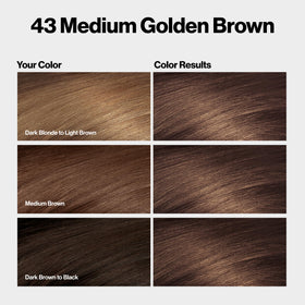 REVLON ColorSilk hair color application instructions