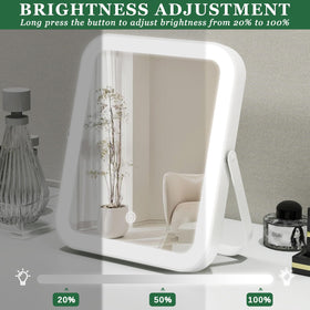 ROLOVE 8x10 Inch Lighted Vanity Mirror in natural light mode