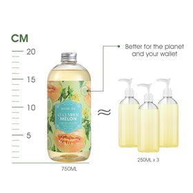 ROMIIE ZOI Liquid Hand Soap 26 fl oz bottle with ingredients