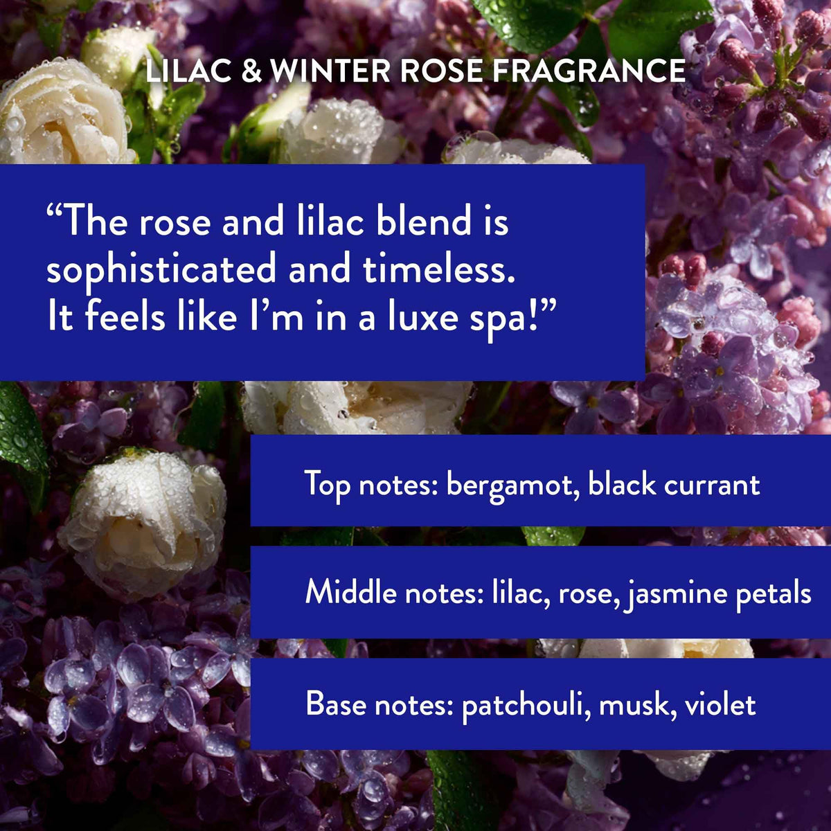 Routine Wellness Anti-Thinning Shampoo back label