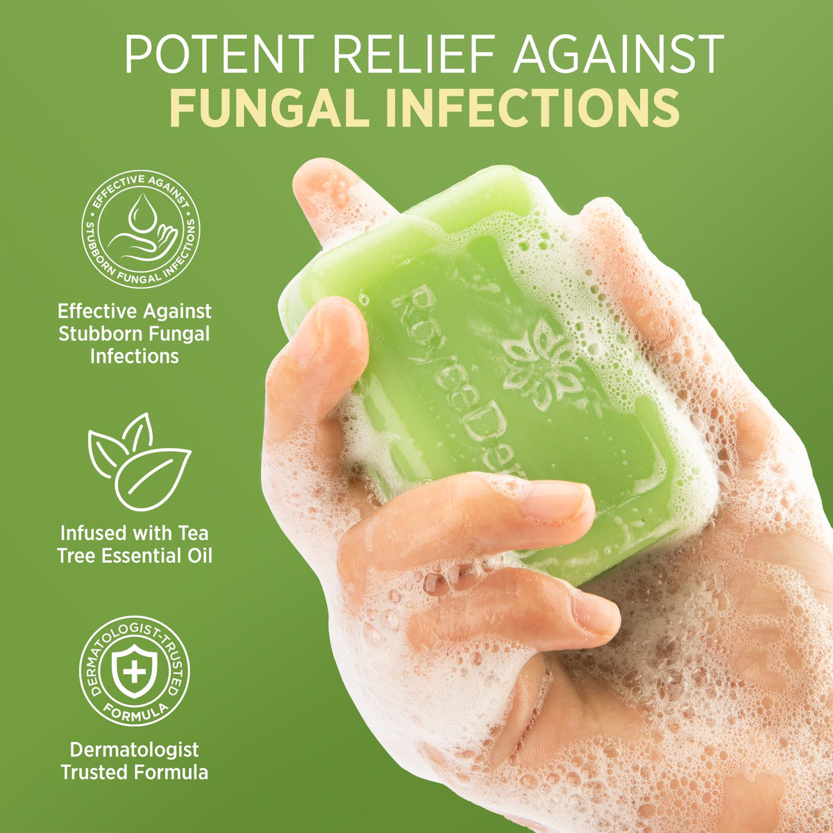 Roycederm Antifungal Bar Soap packaging showing 2 pack