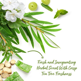 Roycederm Tea Tree Body Wash with botanical extracts