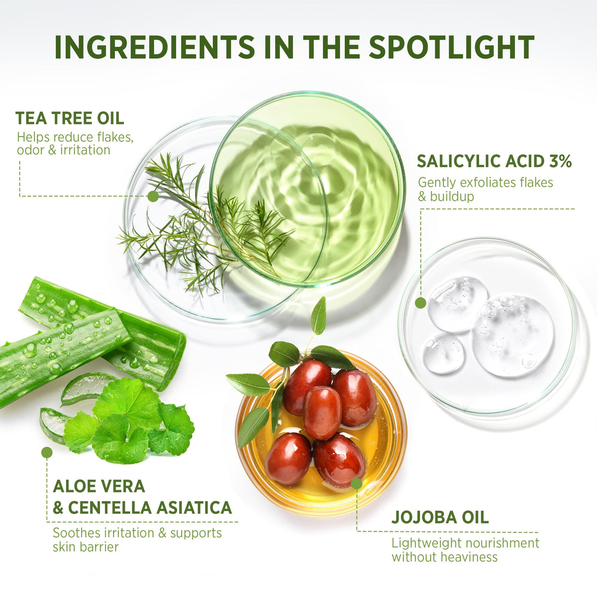 Roycederm Tea Tree Therapeutic Set packaging