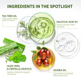 Roycederm Tea Tree Therapeutic Set packaging
