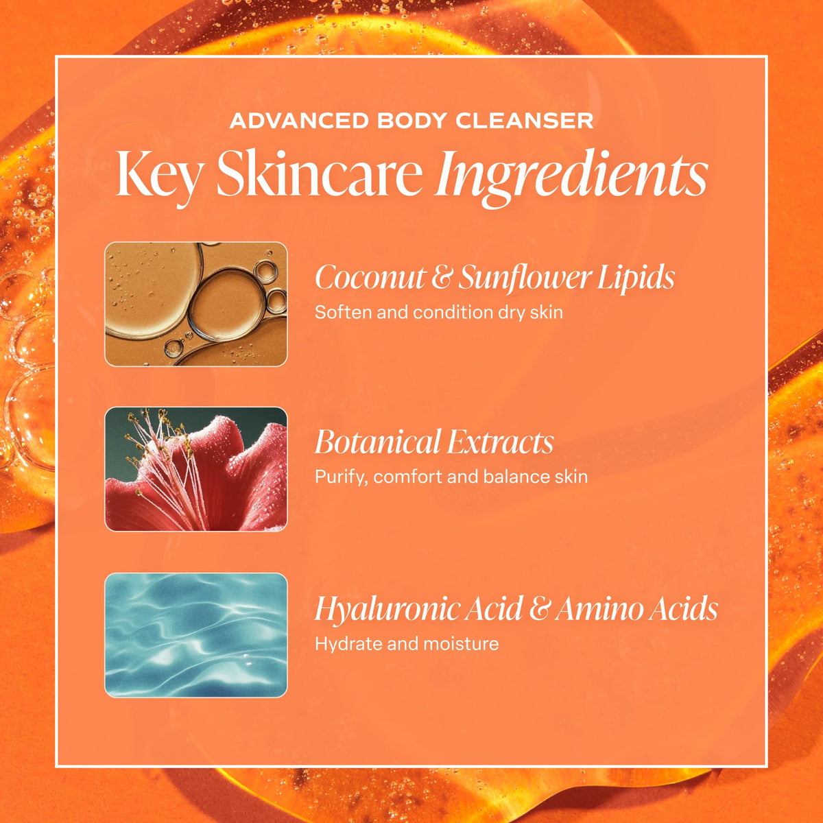 Saltair Body Wash with fresh fruits representing scent notes