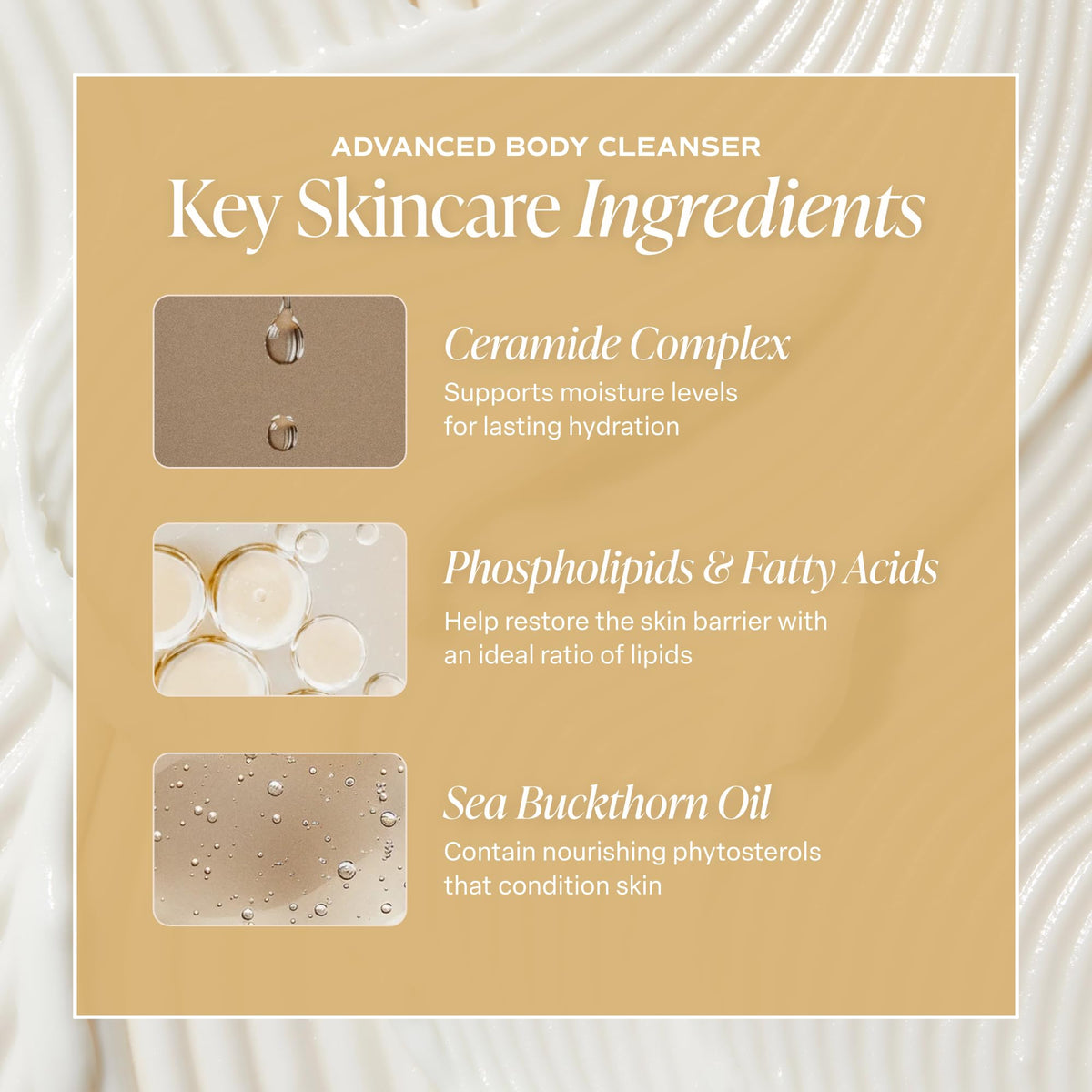 Saltair Multi-Lipid Body Butter jar with shea and coconut ingredients