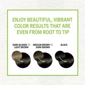 Schwarzkopf Simply Color 1.0 Jet Black hair dye cream application process