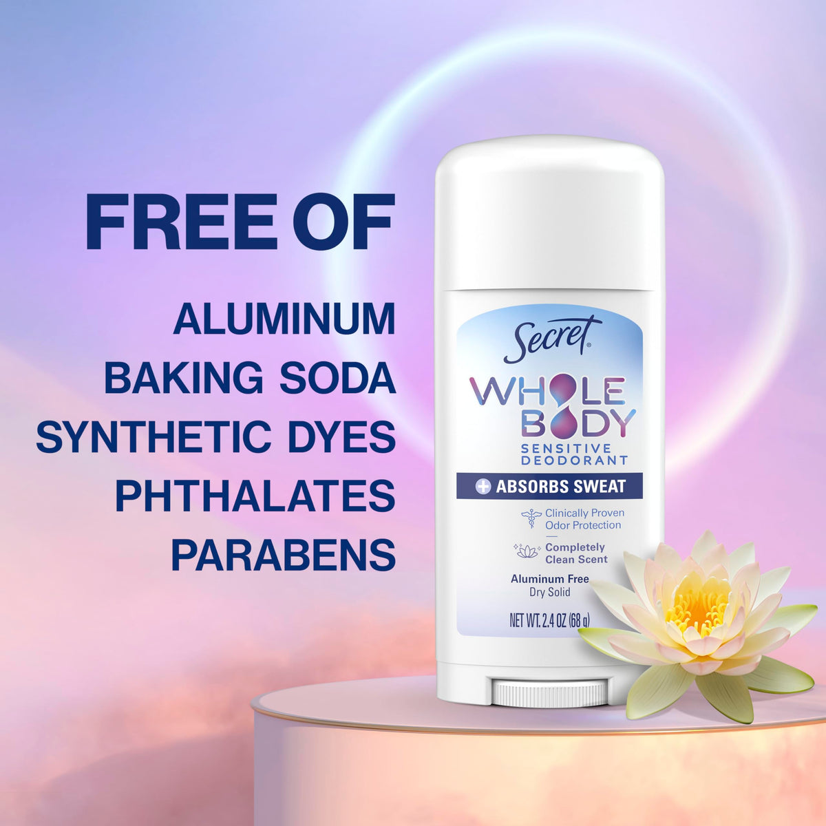 Secret Whole Body Deodorant Stick in a gym bag