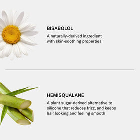 SEEN Shampoo Eco-Refill with natural ingredients backdrop