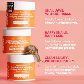 SeoulCeuticals moisturizer with organic ingredients