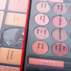 SHANY All In One Makeup Set with 67 colours displayed