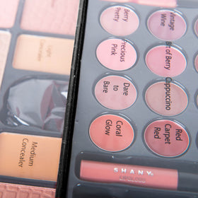 SHANY makeup set with mirror and various cosmetics