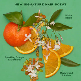 Shea Moisture Bond Repair Shampoo with natural ingredients