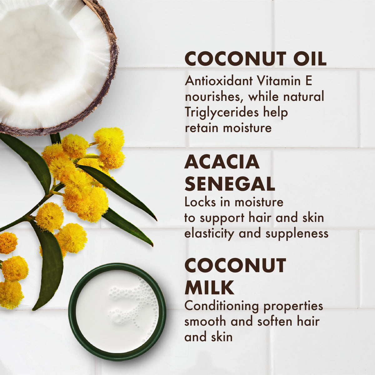 SheaMoisture coconut oil with tropical coconut background