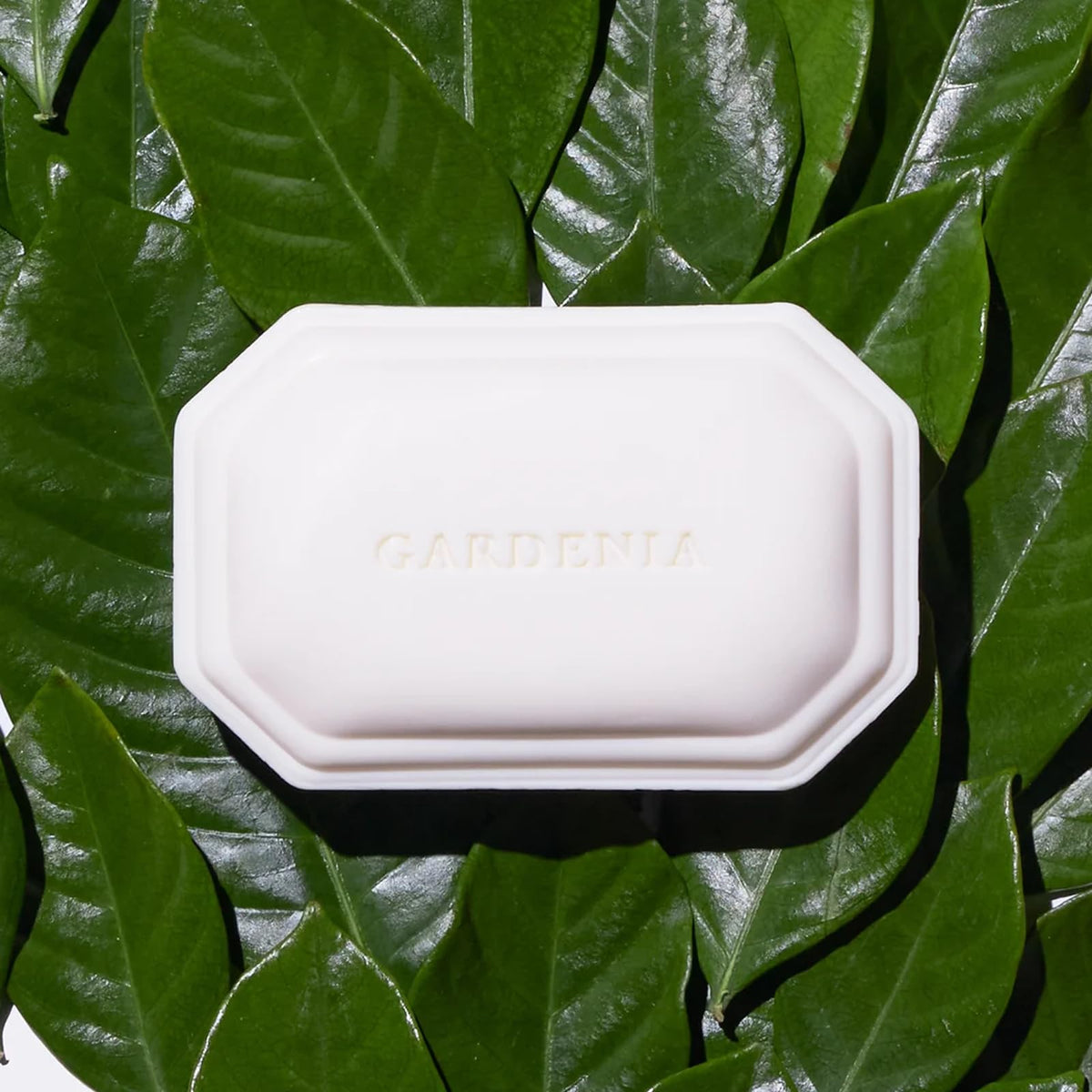 Side view of Caswell-Massey Gardenia Bar Soap