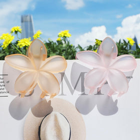 Sisiaipu Flower Hair Clips arranged in a colorful pattern