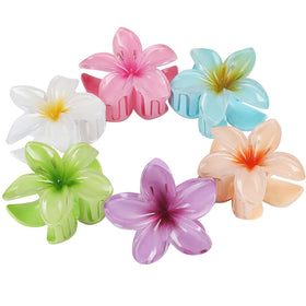 Sisiaipu Flower Hair Clips displayed on a table with tropical background