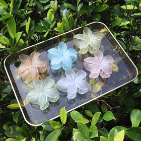 Sisiaipu Flower Hair Clips displayed on a white background