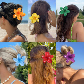 Sisiaipu flower hair clips package display