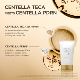 SKIN1004 Centella TECA Cream with natural ingredients