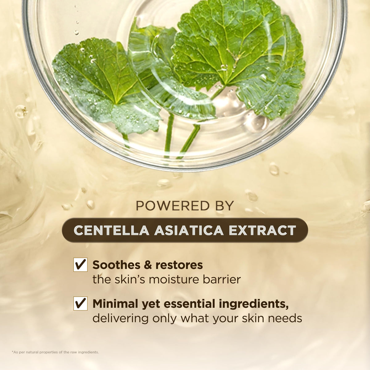 SKIN1004 Madagascar Centella Ampoule 100ml close-up of dropper