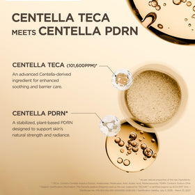 SKIN1004 Madagascar Centella TECA Ampoule ingredients list