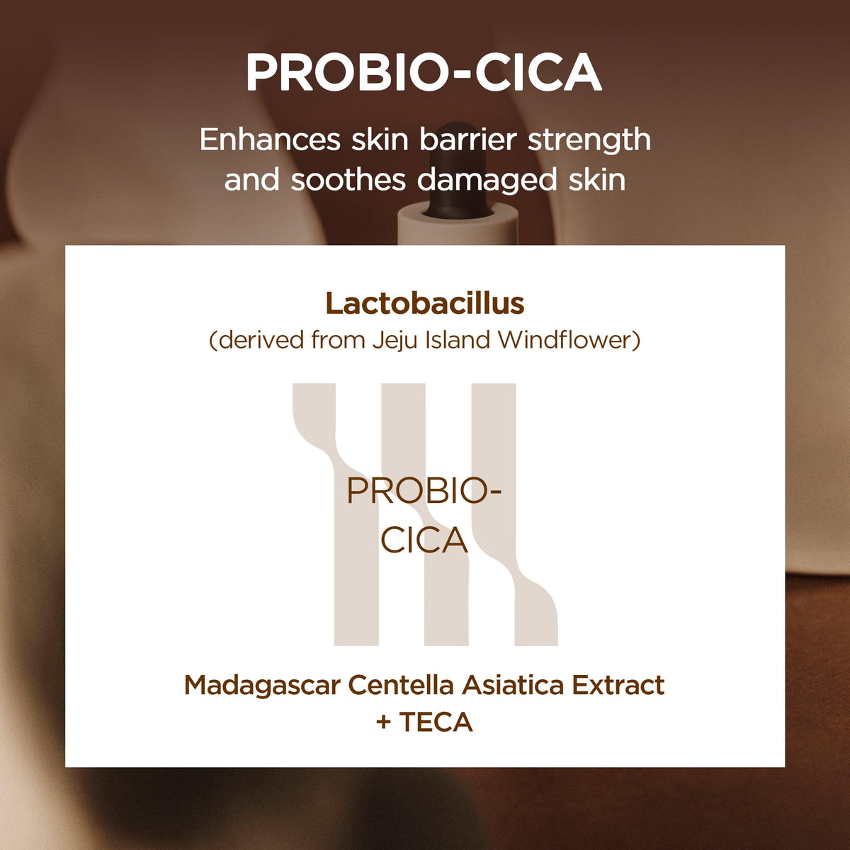 SKIN1004 Probio Cica Intensive Ampoule 50ml with dropper