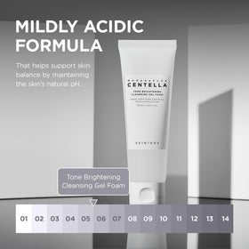 SKIN1004 Tone Balancing Cleansing Gel Foam 125ml with ingredients