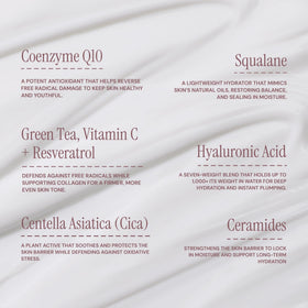Skincare Junkie Megadose Super Antioxidant Face Moisturizer texture close-up