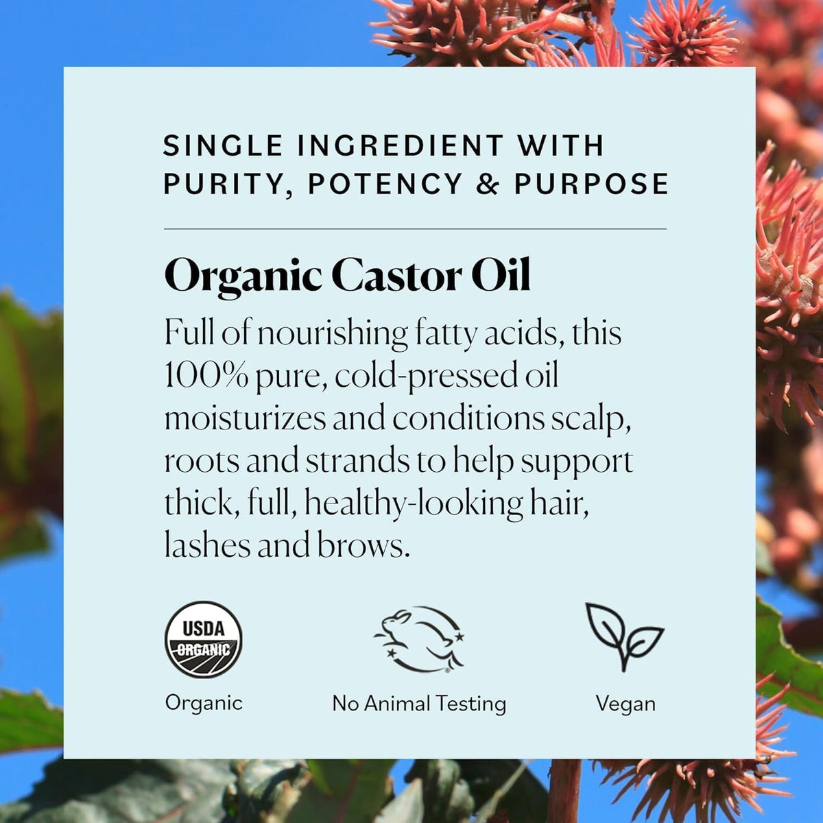 Sky Organics Castor Oil Eyelash Serum ingredients list