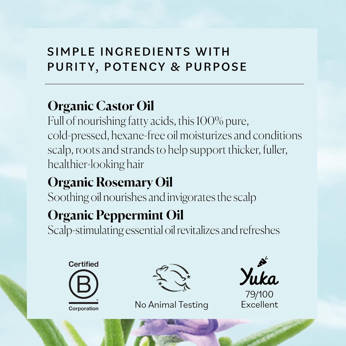 Sky Organics Organic Castor Oil with Rosemary Oil lifestyle scene