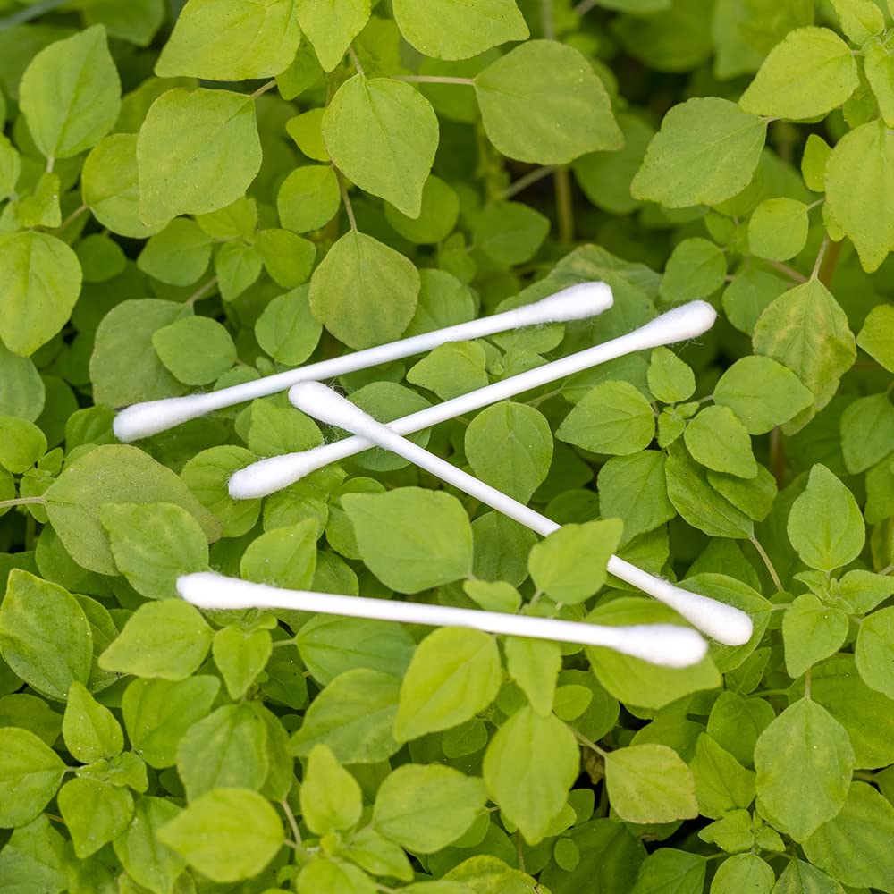 Sky Organics Organic Cotton Swabs displayed with arts and crafts materials