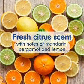 Softsoap Antibacterial Hand Soap Fresh Citrus bottle on a bathroom sink