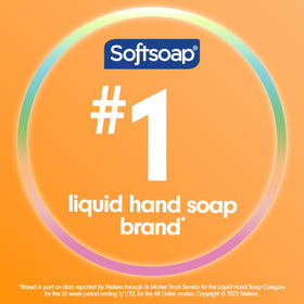 Softsoap Antibacterial Hand Soap Sparkling Pear 11.25 oz bottle with label close-up