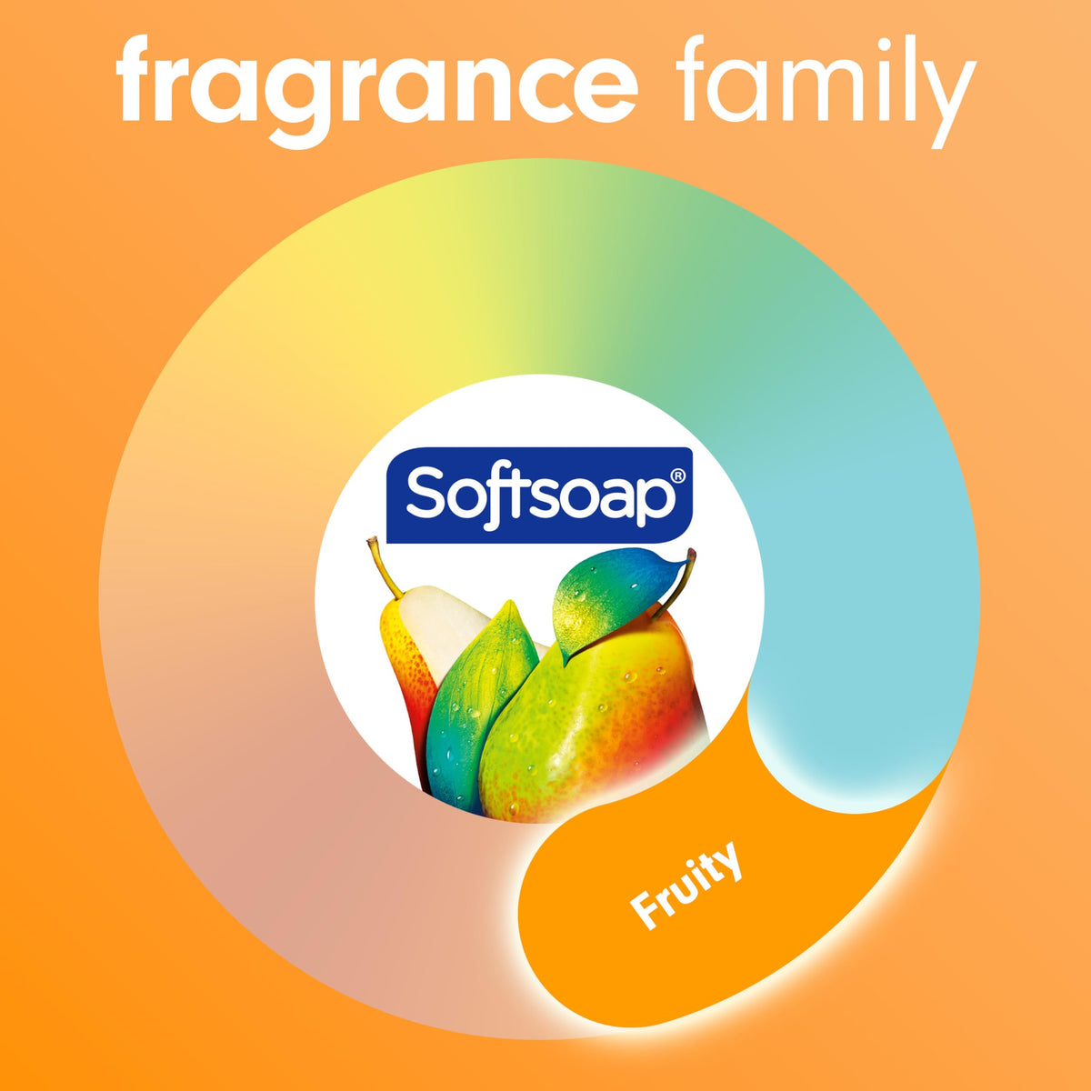 Softsoap Body Wash with pomegranate and mango extracts