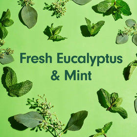 Softsoap Eucalyptus & Mint Body Wash 20 oz packaging