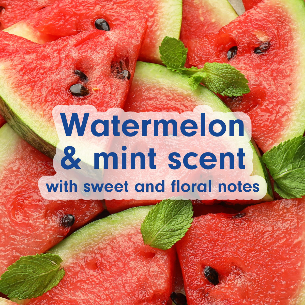 Softsoap Liquid Hand Soap Watermelon Mint 332 mL back view