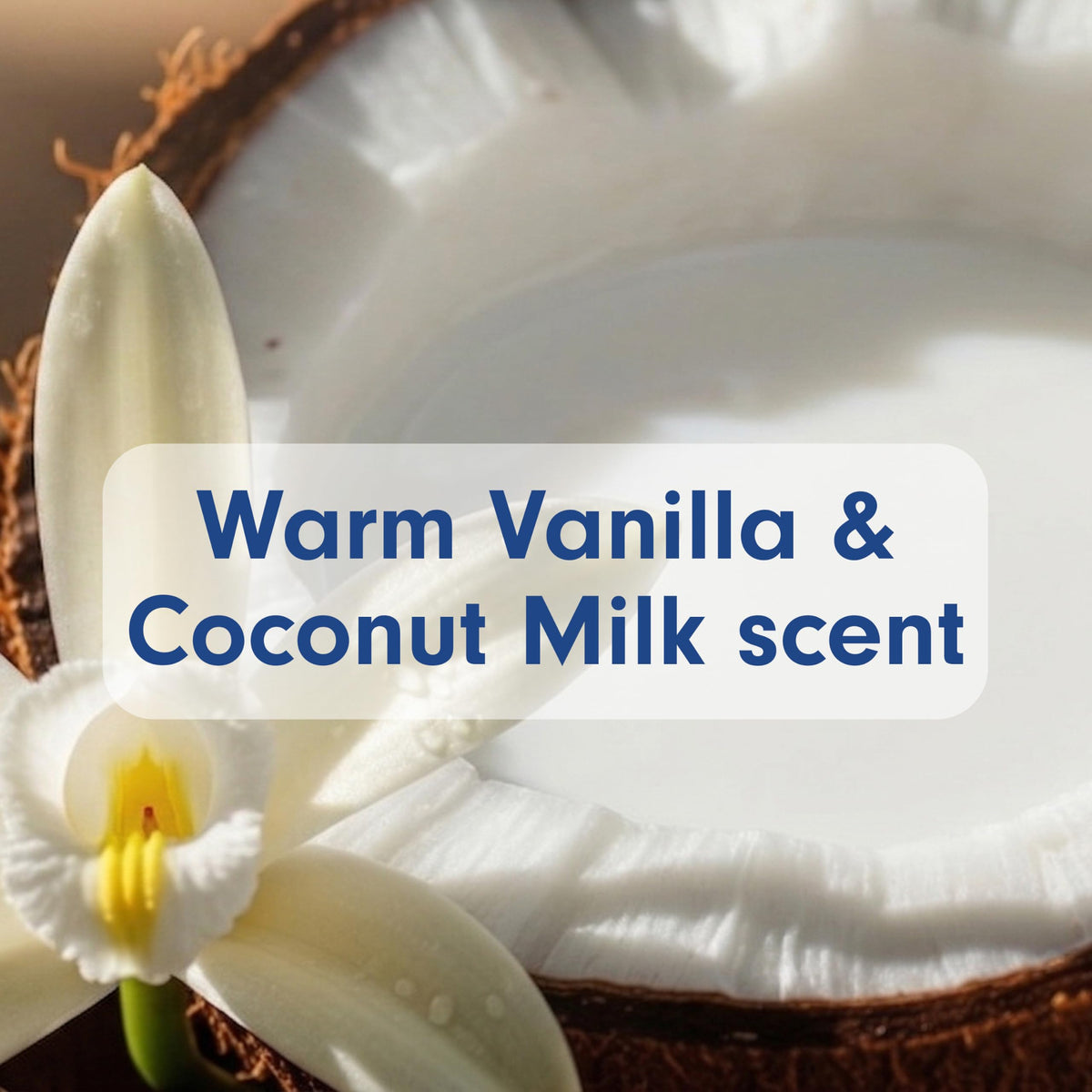 Softsoap Warm Vanilla and Coconut Milk Hand Soap 11.25 oz back view