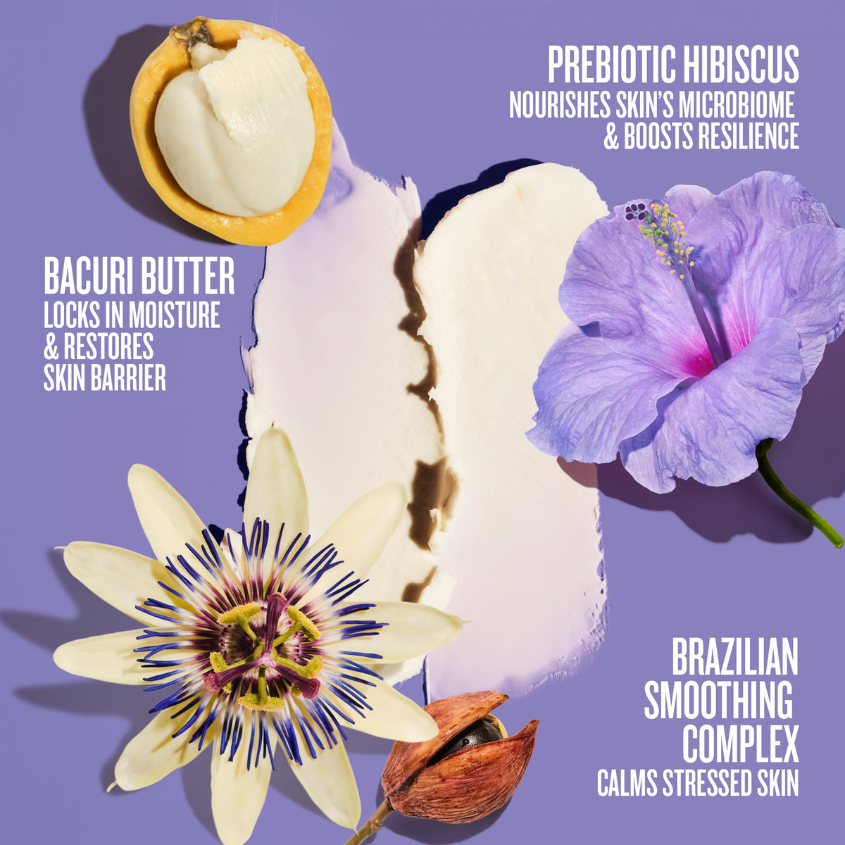 Sol de Janeiro Delicia Drench Body Butter 150mL with ingredients
